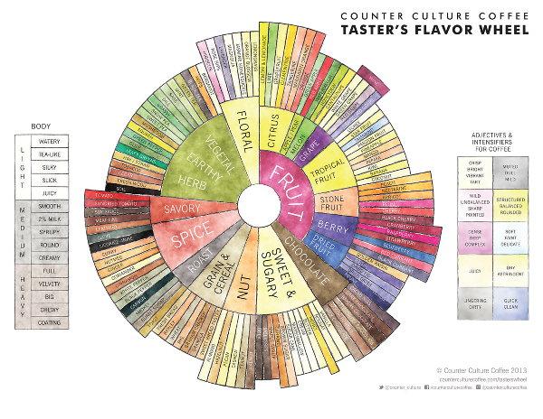 7 Factors That Influence Coffee Flavor